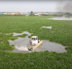 NIWA Deploys Machines to Combat Water Hyacinth, Aid Navigation in Lagos