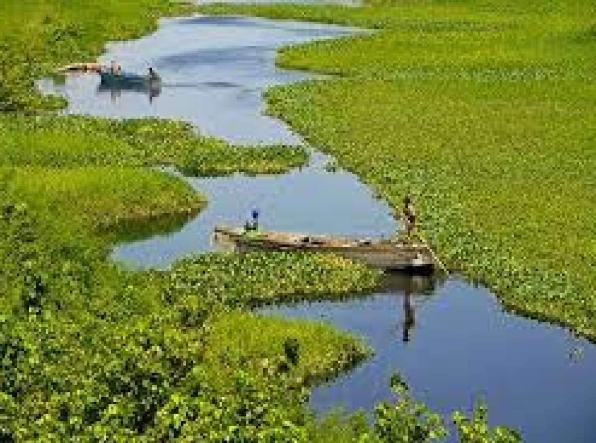 THIRTY-SEVEN BIRD SPECIES DOCUMENTED AT UNILAG WETLANDS  AS CONSERVATIONISTS RENEW CALL FOR PROTECTION